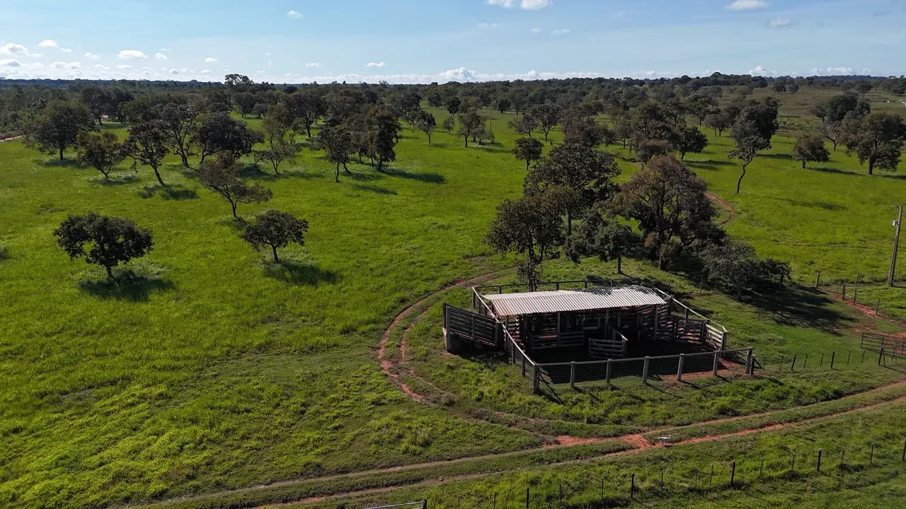 Sítio 37,62 Hectares Três Lagoas MS