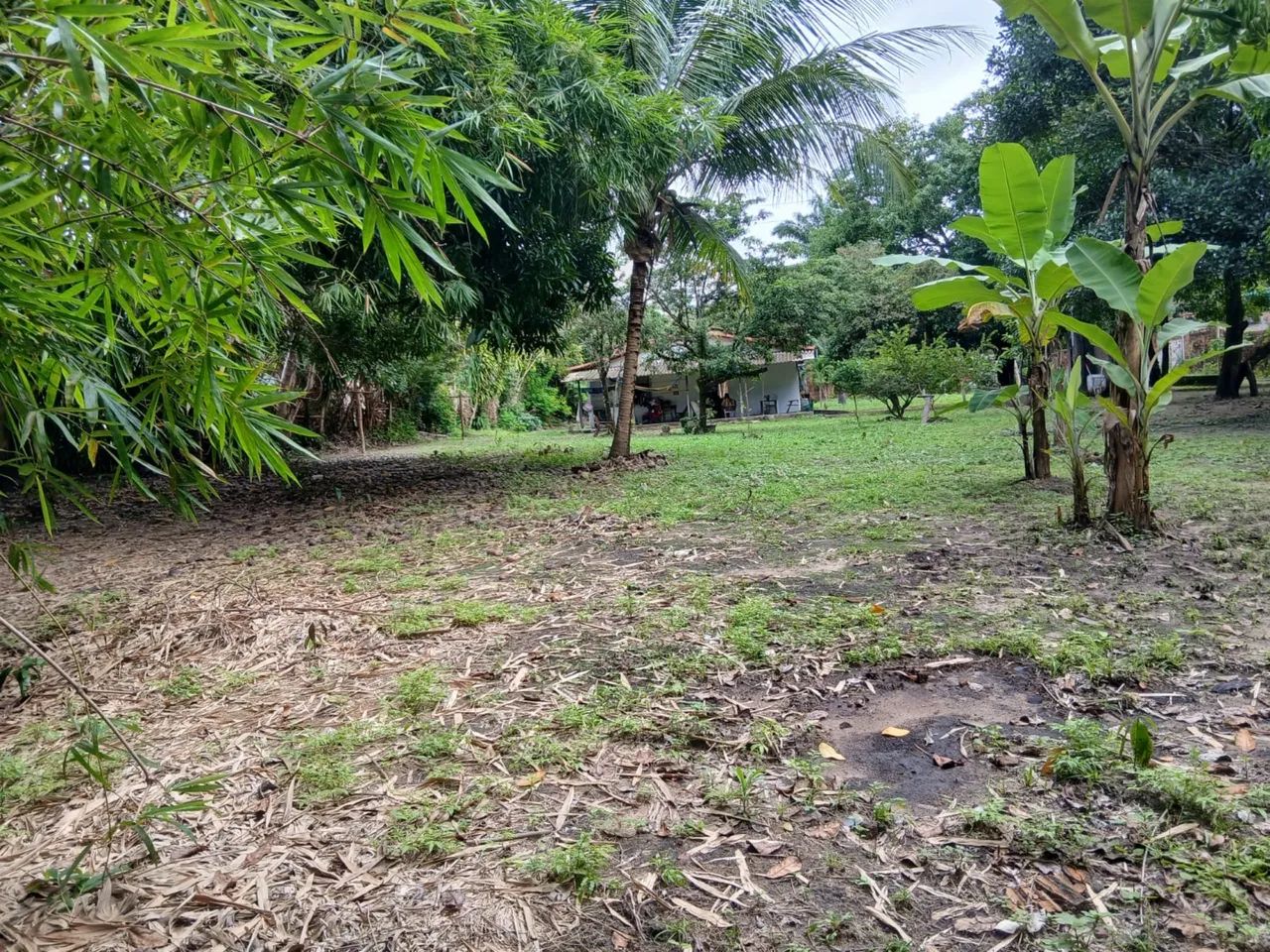 Sítio vila esperança  - Foto 5