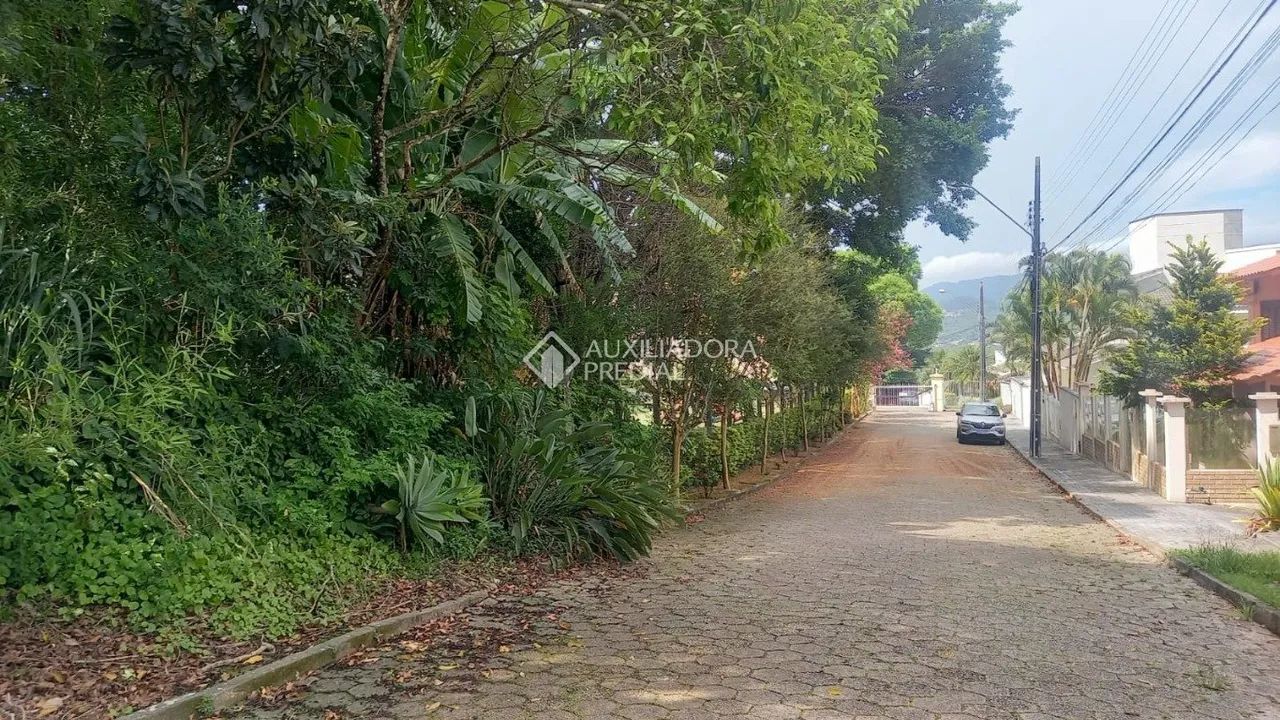 Terreno no bairro Trindade - Foto 5