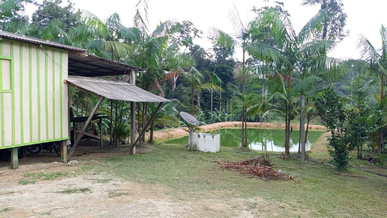 Sítio Com Casa e Tanques de Peixes - Foto 5