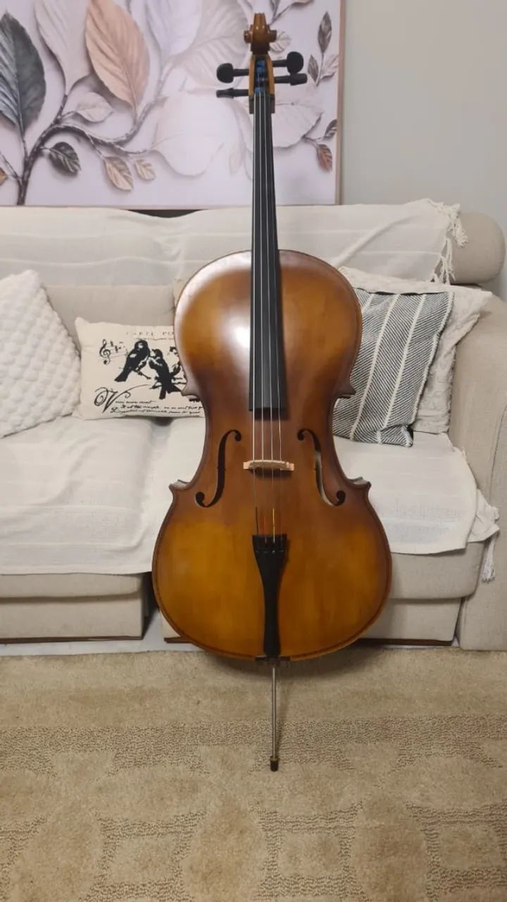 Violoncelo 4/4 + bag + cordas extras