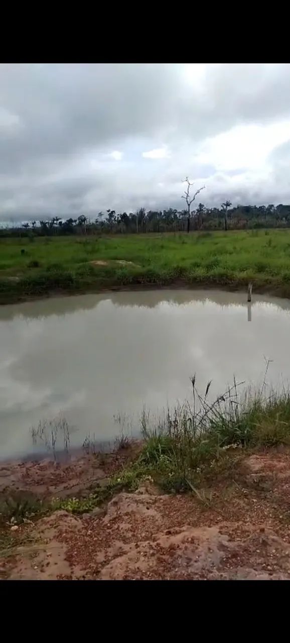 Sítio em Mirante da Serra - Foto 5