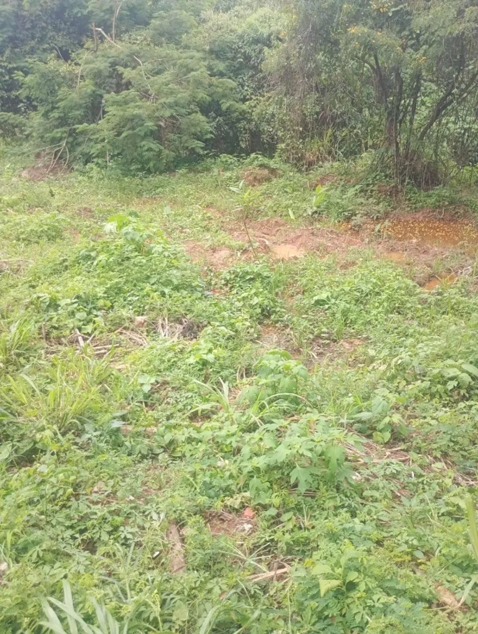 Terreno em Atibaia 1.196,00m2