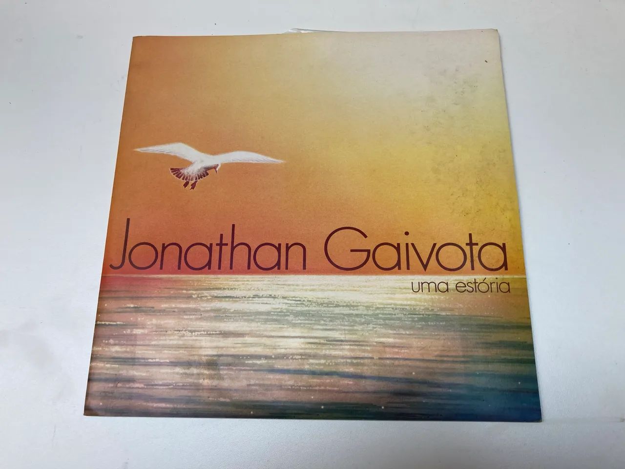 Vinil Jonathan Gaivota  - Foto 3