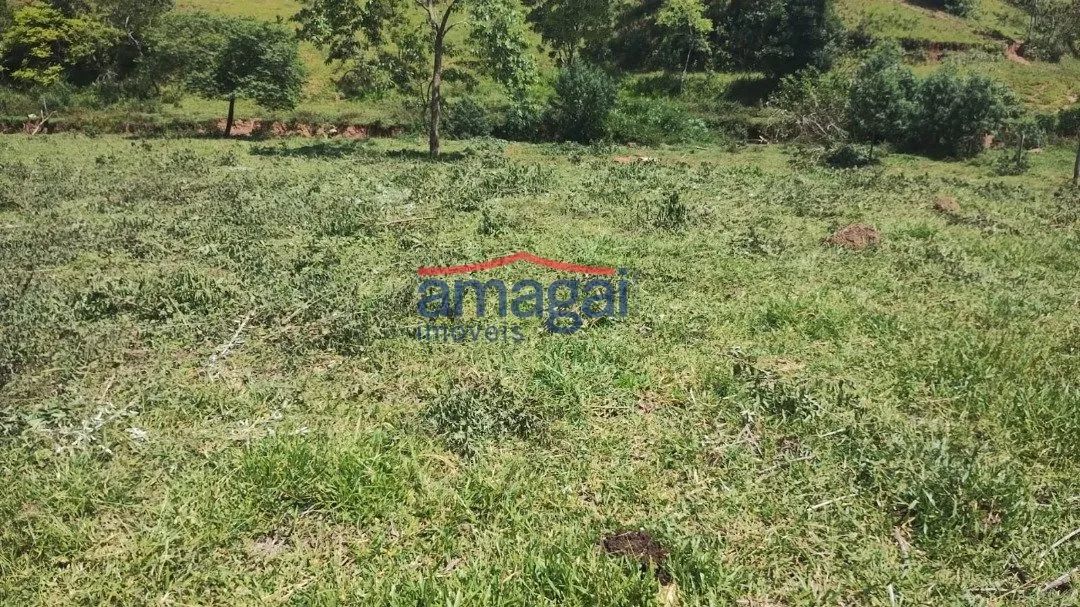 Área à venda em Santa Branca - Foto 4