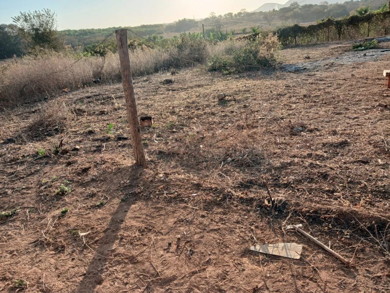 Lote - Foto 3