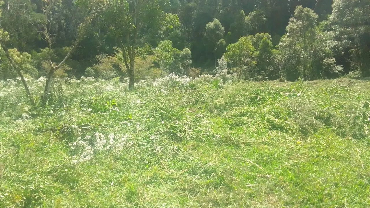 TERRENO/ SÍTIO À VENDA EM ANITÁPOLIS/SC  - Foto 5