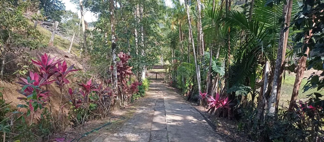 Venda Sítio cidade de Sete Barras  - Foto 2