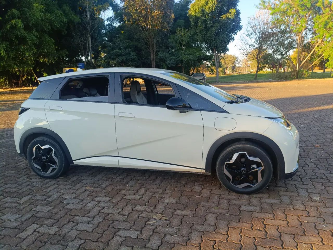 BYD Dolphin EV (Elétrico) 2024 - Foto 4