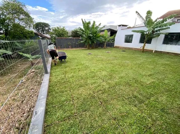 Grama Esmeralda Instalada Jardinagem 