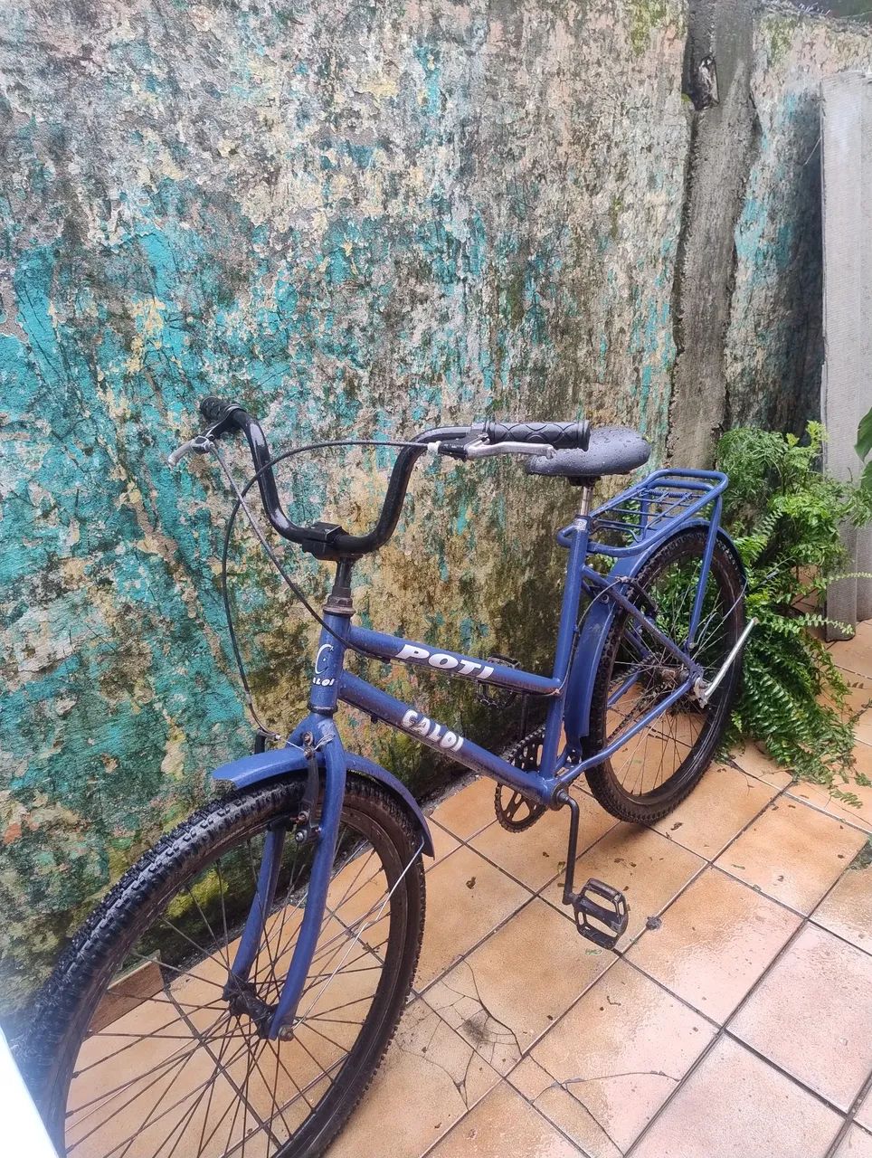 Bicicleta Poti