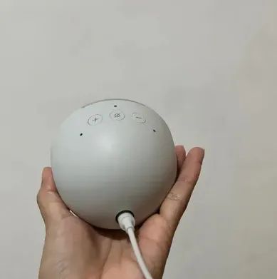 Alexa Eco Pop - Foto 2