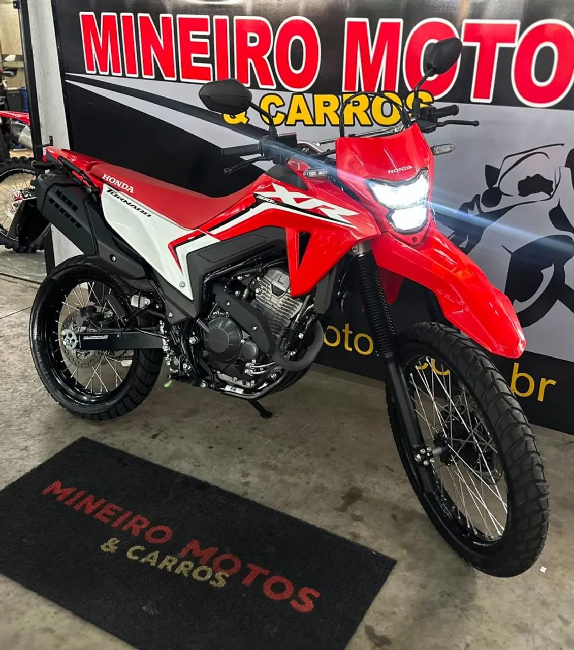 XR 300L TORNADO FLEX - Foto 2