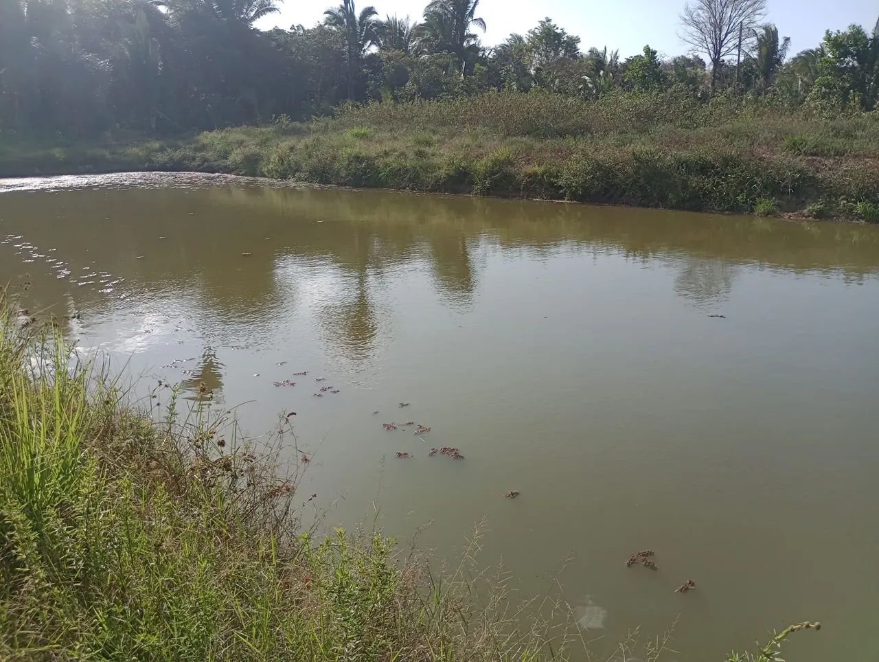 Vendo um terreno/sítio em Bacabeira - Foto 3