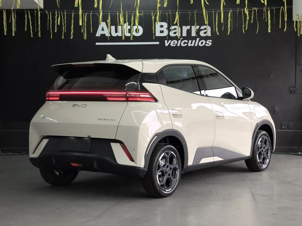 BYD Dolphin Mini (Elétrico) 2027 - Foto 4