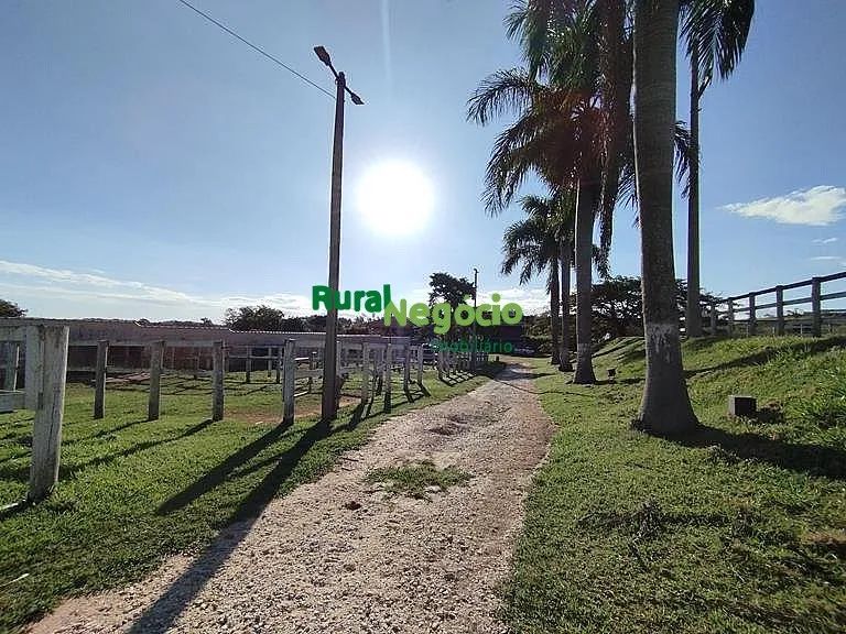 HARAS / SÍTIO FORMADO COM BELA ESTRUTURA EM TAUBATÉ-SP - Foto 2