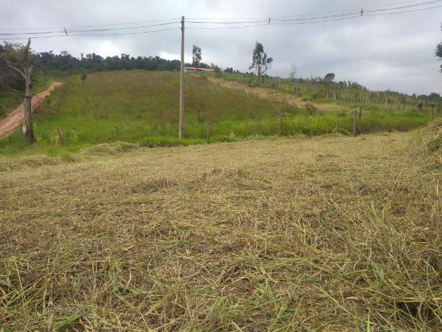 LS-Saia da correria de SP e venha fazer parte do Interior repleto da Natureza!! - Foto 4