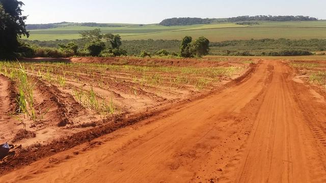 Fazenda 41 alqueires em Brodowisk 4.300.000.00 - Foto 11
