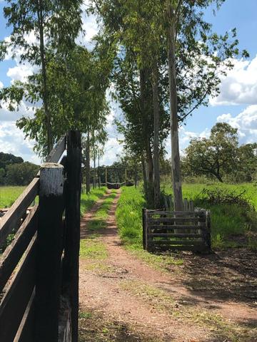 Vendo Chácara 1,5 km da Imigrante em Várzea Grande - Foto 2