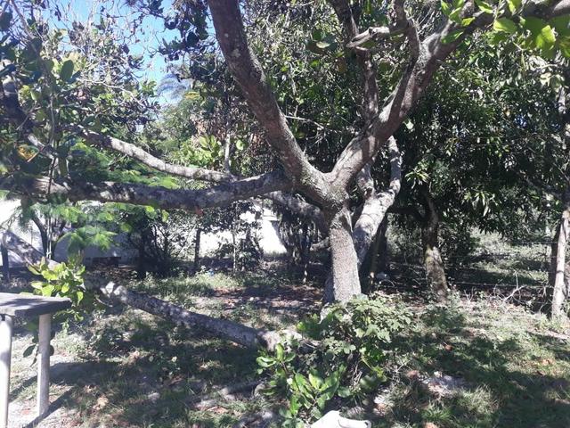 LMini Sítio (Área Rural) - em Tamoios - Cabo Frio/RJ - Centro Hípico - Foto 3