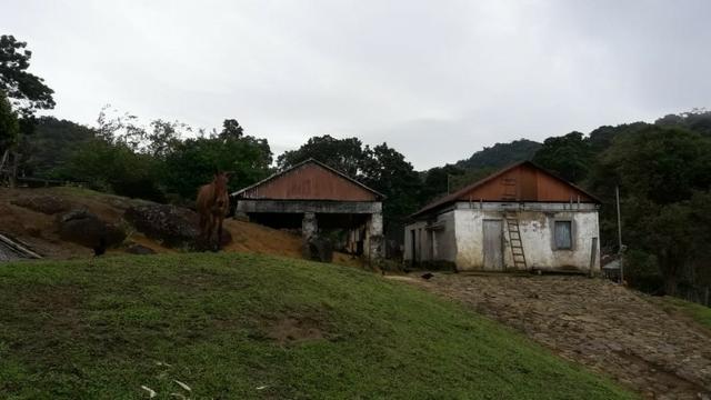 Fazenda de Cacau -Ilheus Ba - Foto 3