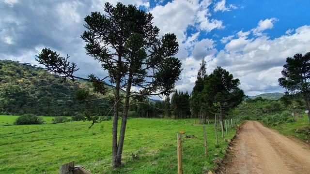 Sítio em Urubici/chácara em Urubici/área rural em Urubici - Foto 9