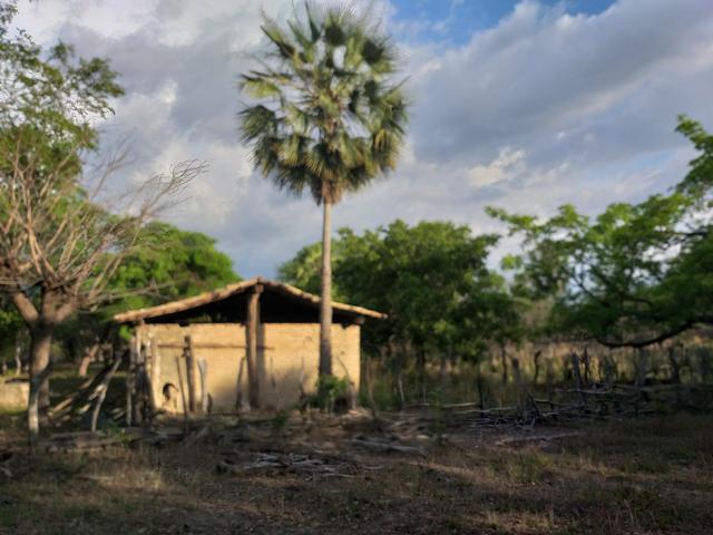 Vende-se uma fazenda - Foto 8