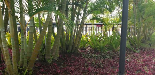 AP0368 Excelente Apartamento com 3Q sendo 1 Suíte no Condominio Barra Bali - Foto 20