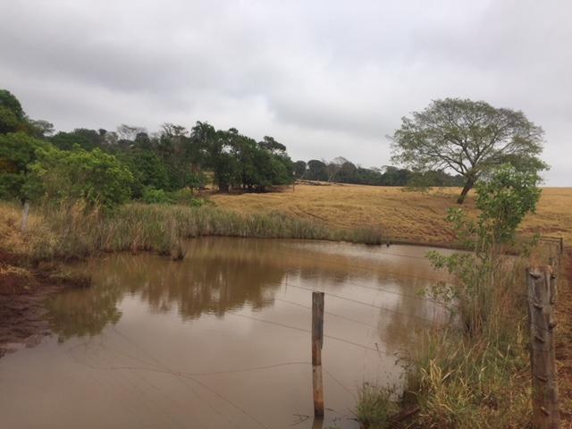 Fazenda 20