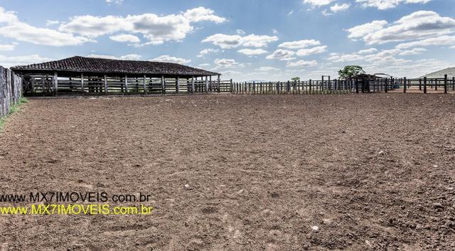 Fazenda pecuária de 6.400 Hectares. Capacidade pra 8.000 bois. - Foto 11