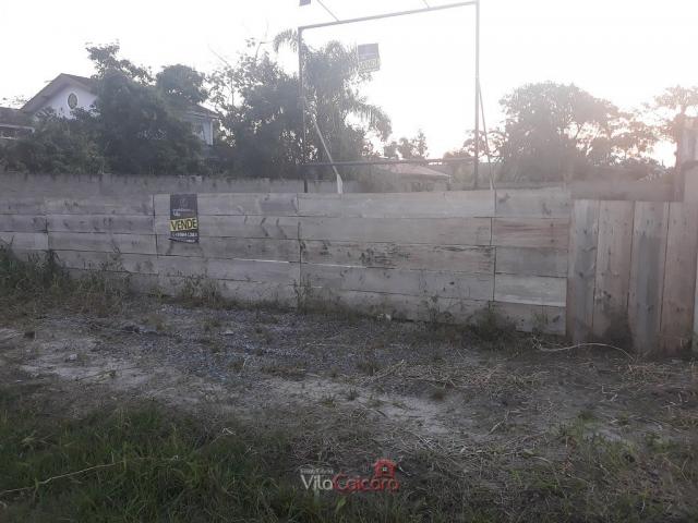 Terreno murado e aterrado de frete para a rodovia - Foto 3