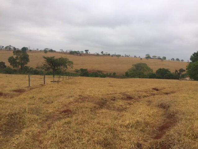 Fazenda 20 - Foto 20