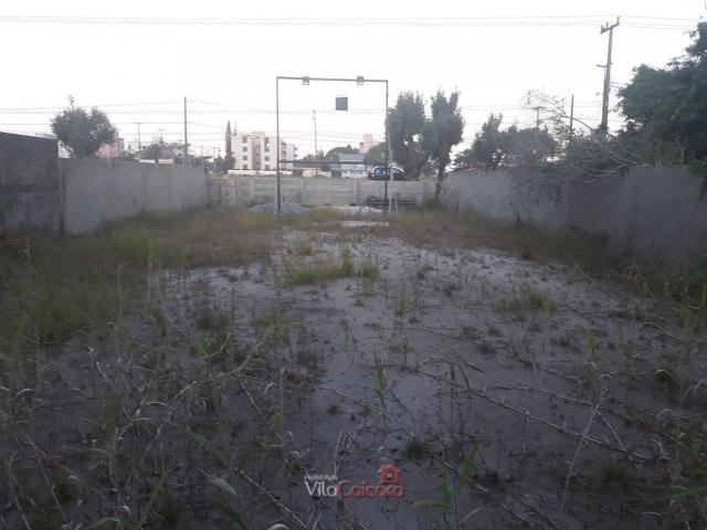 Terreno murado e aterrado de frete para a rodovia - Foto 9
