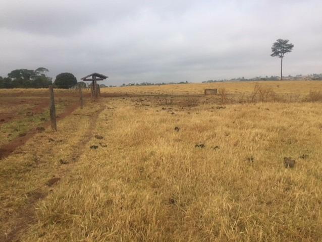 Fazenda 20 - Foto 6