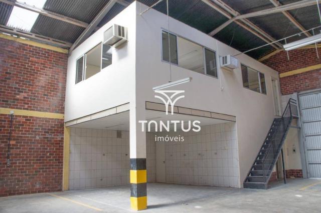 Barracão para alugar, 245 m² por r$ 2.700,00/mês - iná - são josé dos pinhais/pr - Foto 7