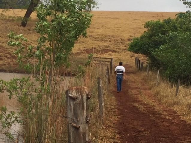 Fazenda 20 - Foto 15