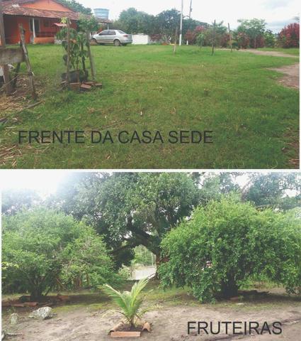 Sitio, Chácara - Foto 2