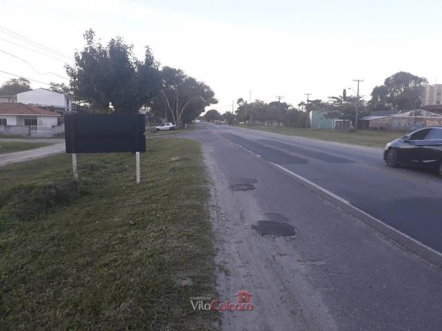 Terreno murado e aterrado de frete para a rodovia - Foto 12