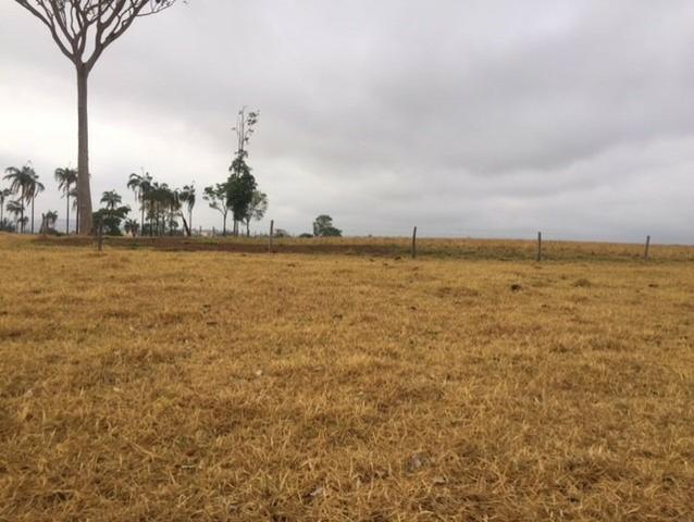 Fazenda 20 - Foto 3