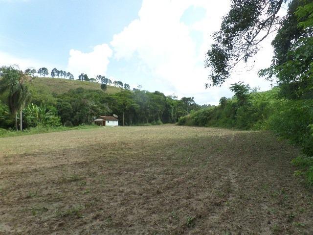 154 - Área de terra em Providência - Foto 10