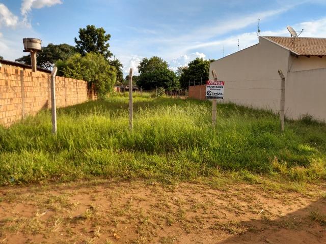 Lindo Lote Centro Oeste - Foto 3