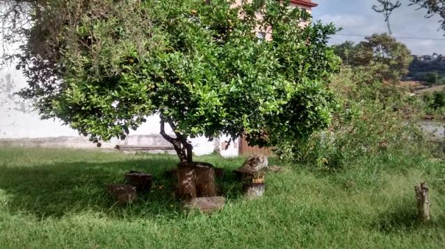 Excelente lote no Caiçara - Foto 2