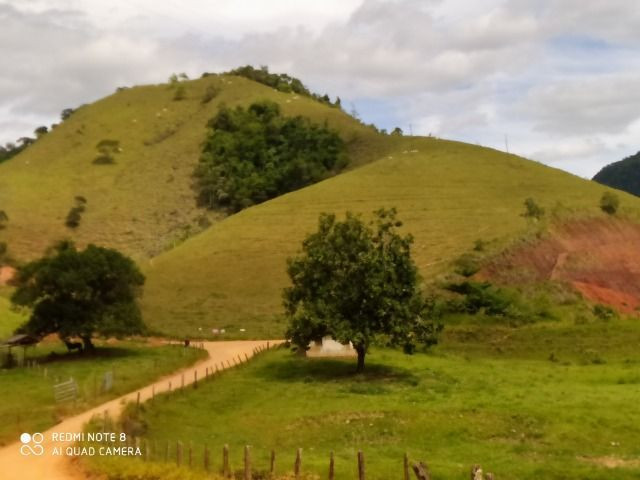 Vendo Fazenda com 27,5 Hectares em Rio Calçado - Guarapari - Foto 17