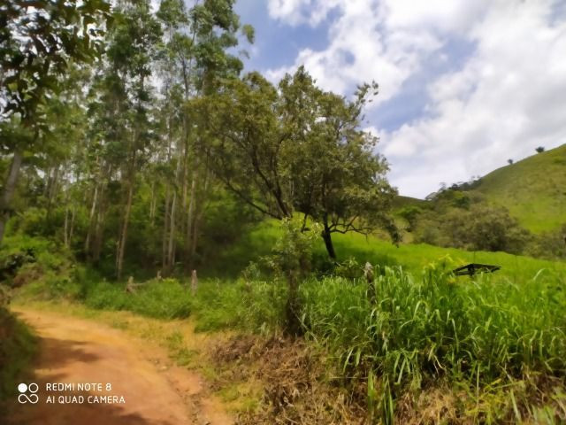 Vendo Fazenda em Rio da Prata - Distrito de Guarapari - Foto 10