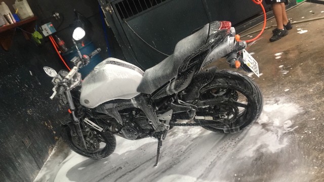 FZ6