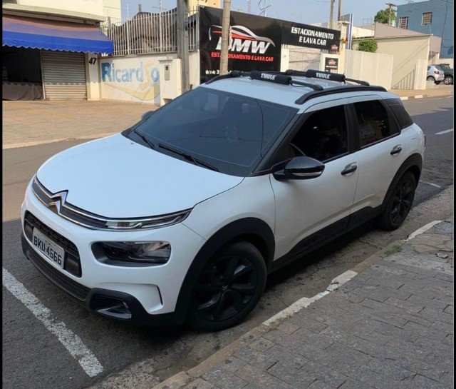 C4 CACTUS FEEL BUSINESS 2019