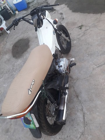 VENDO POP 100