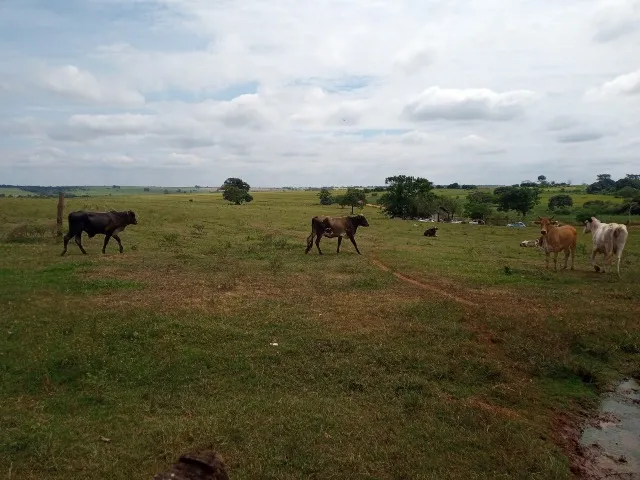 Sítio a venda no interior de SP
