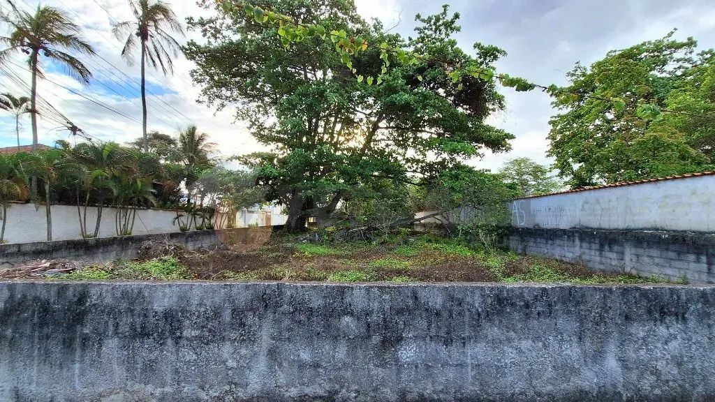Terreno à venda, 600 m² por R$ 1.060.000,00 - Porto Novo - Caraguatatuba/SP - Foto 2
