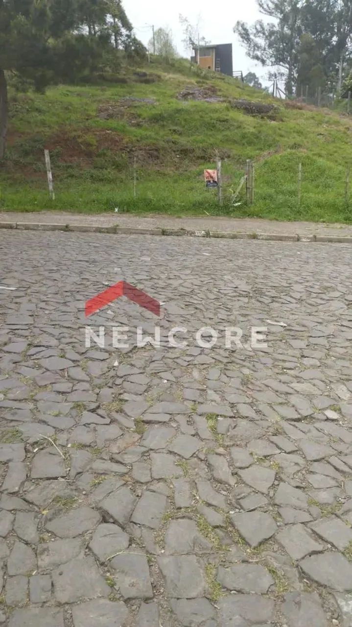 Lote em Marechal Floriano - Centro - São Francisco de Paula/RS - Foto 5